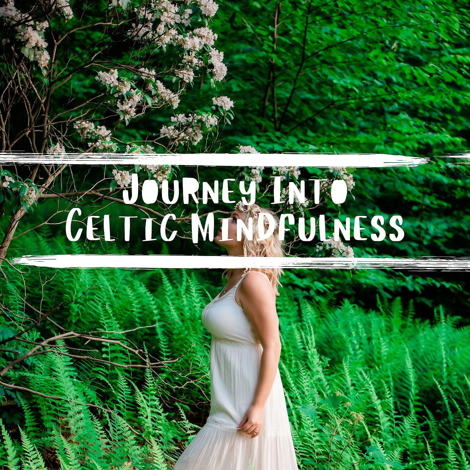 Релиз Journey into Celtic Mindfulness