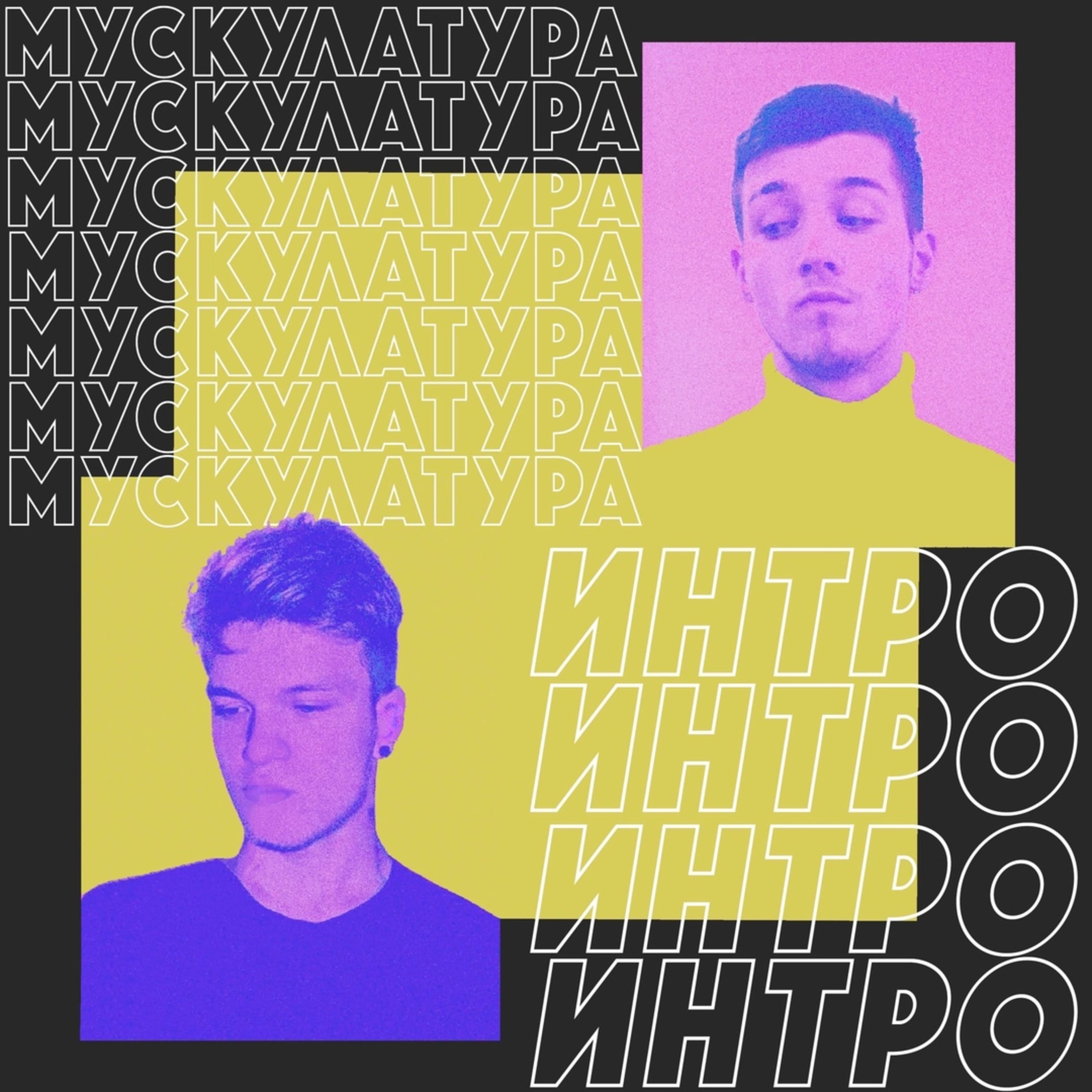 мускулатура