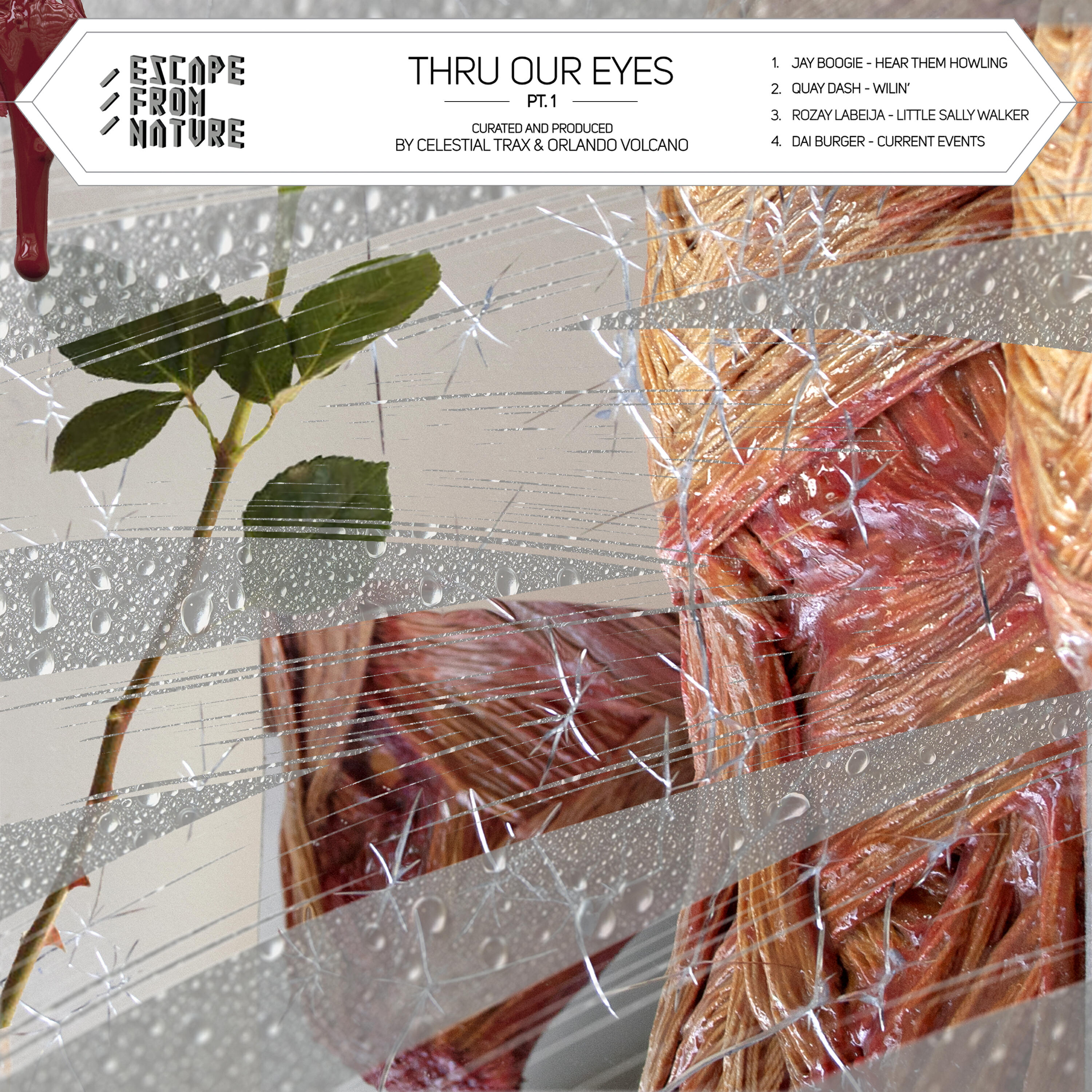Релиз Thru Our Eyes, Pt. 1