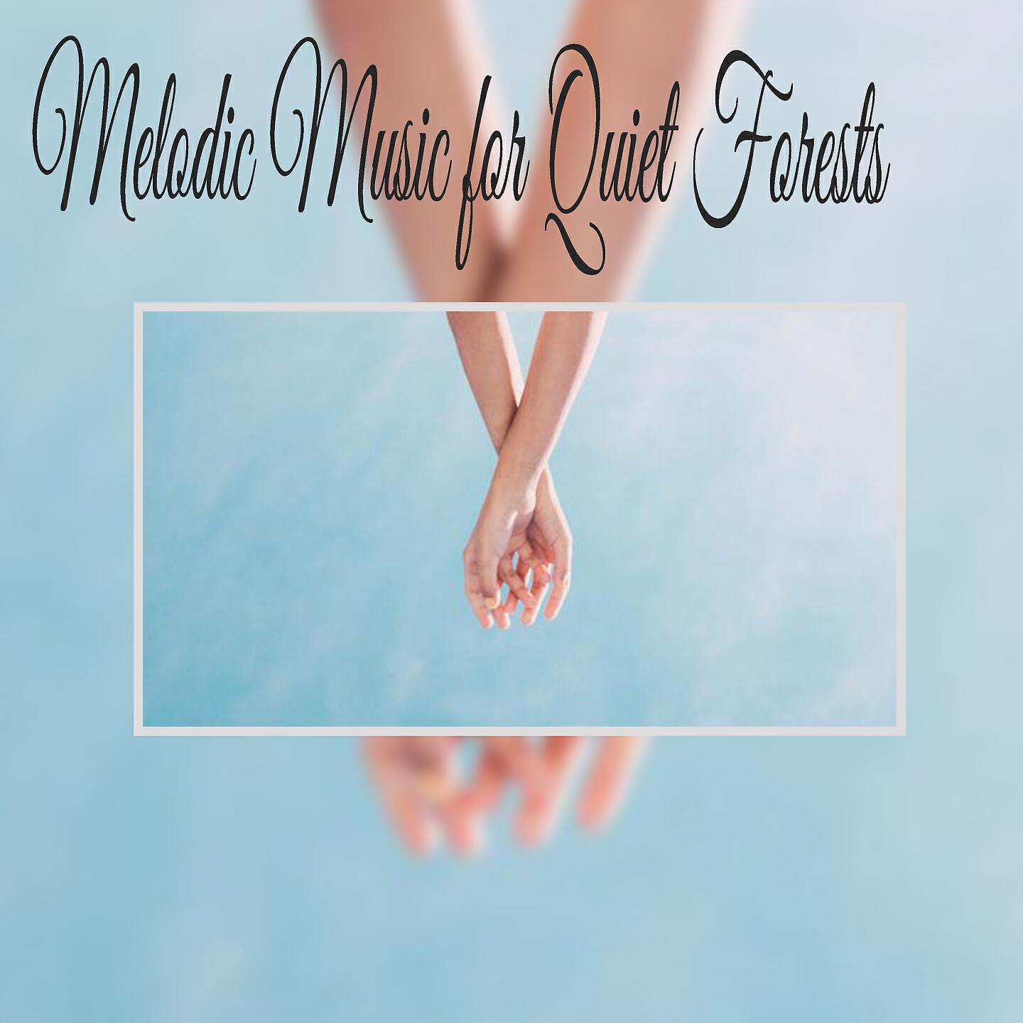 Релиз Melodic Music For Quiet Forests