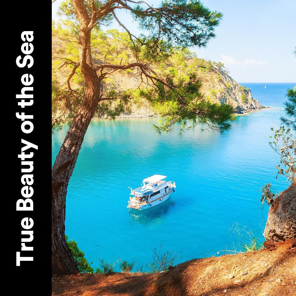 Релиз True Beauty of the Sea