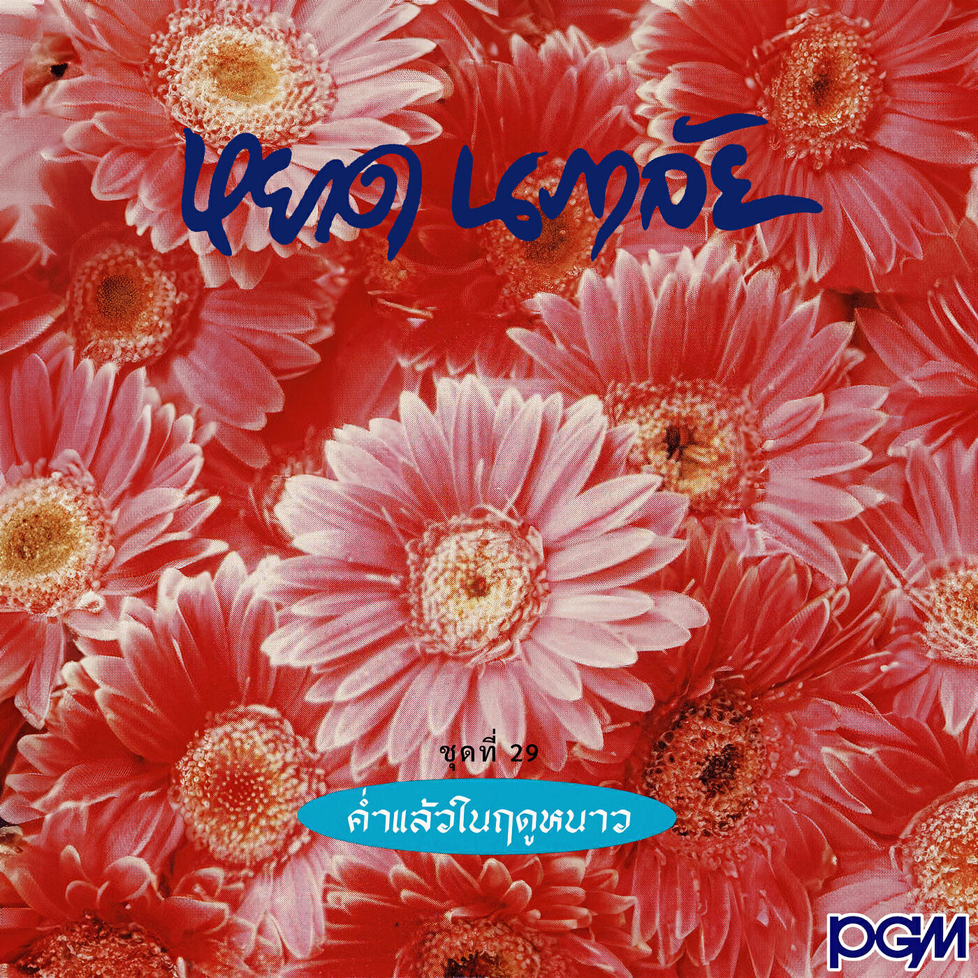 Релиз ชุดที่ 29 ค่ำแล้วในฤดูหนาว