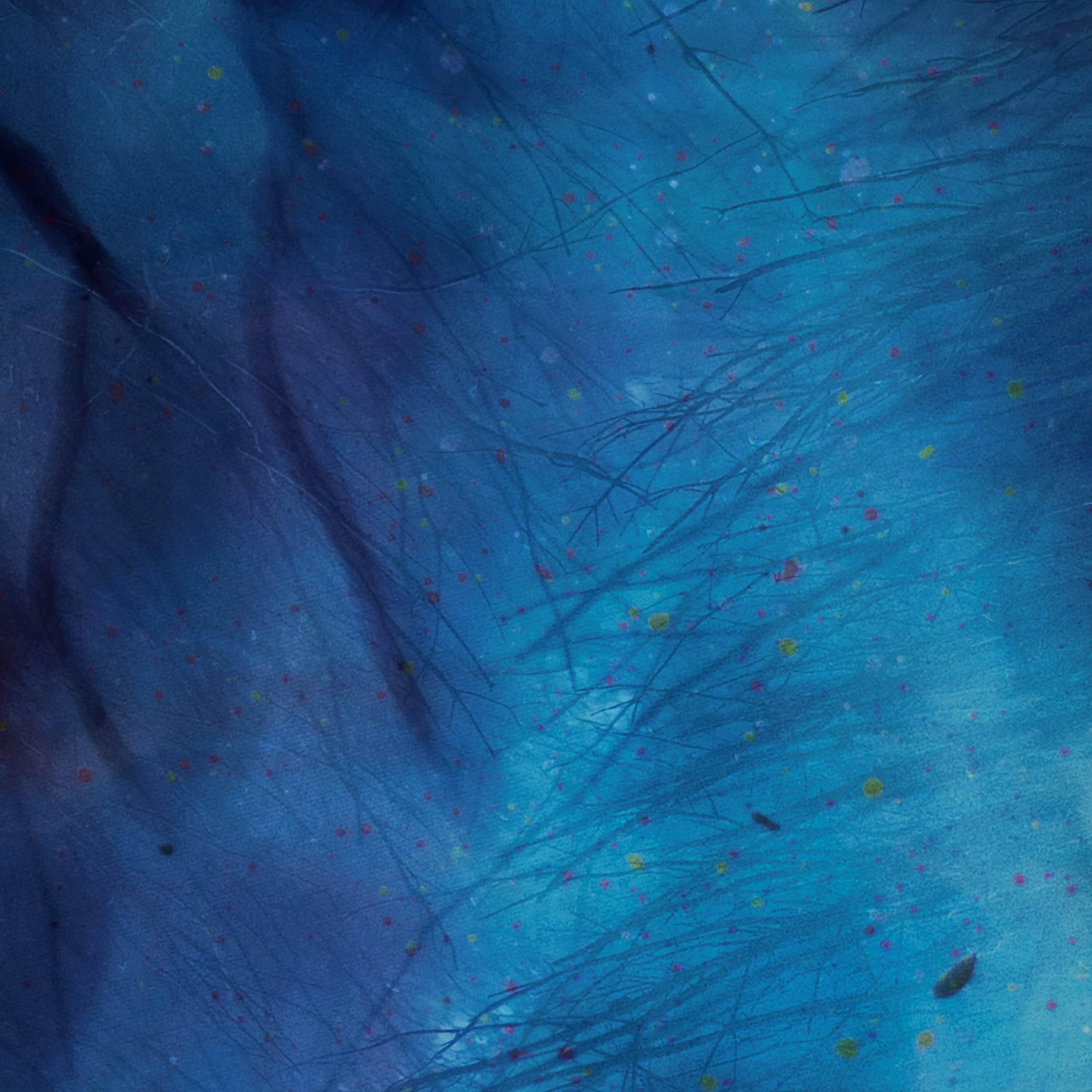 Релиз somnia