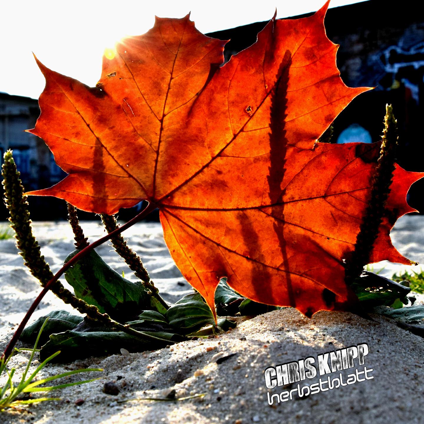 Релиз Herbstblatt
