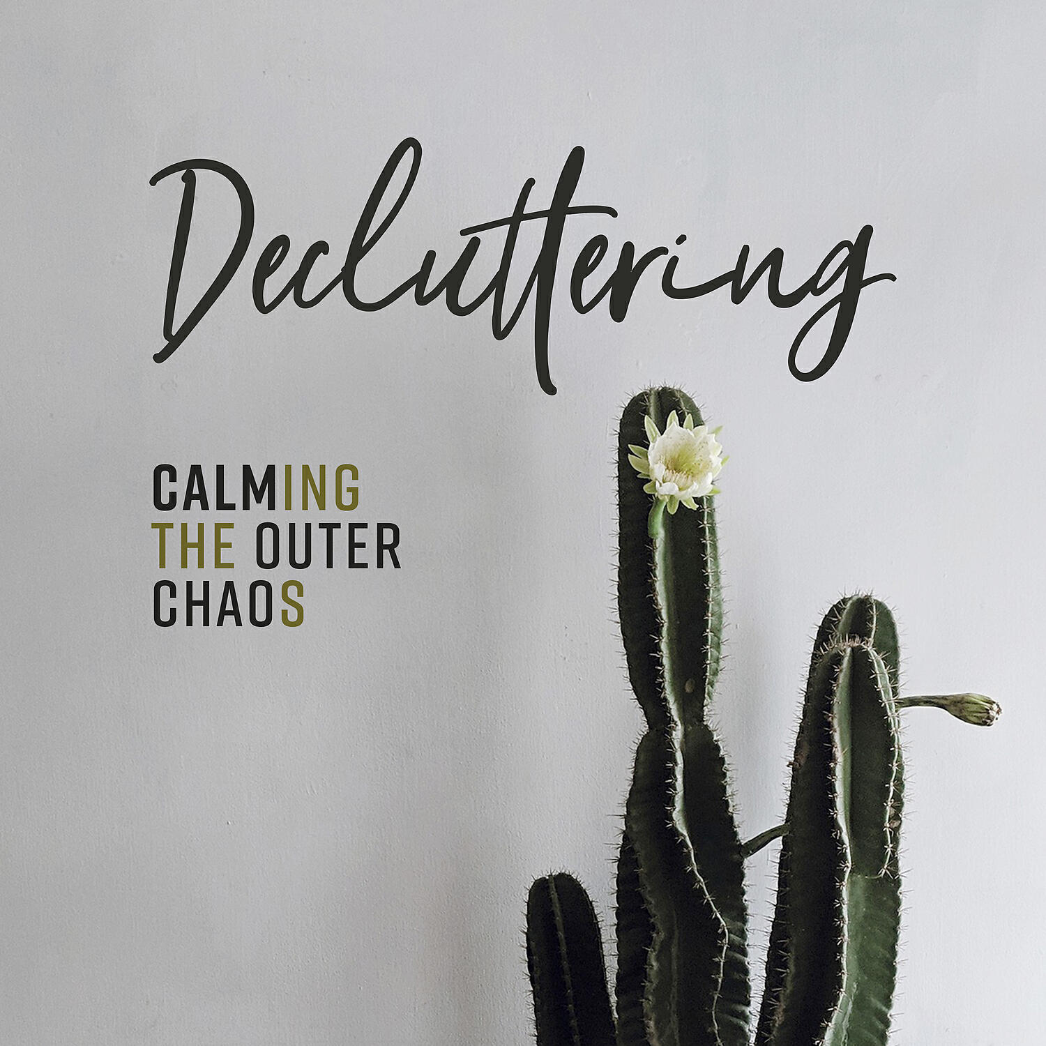 Релиз Decluttering: Calming the Outer Chaos, Create Inner Peace