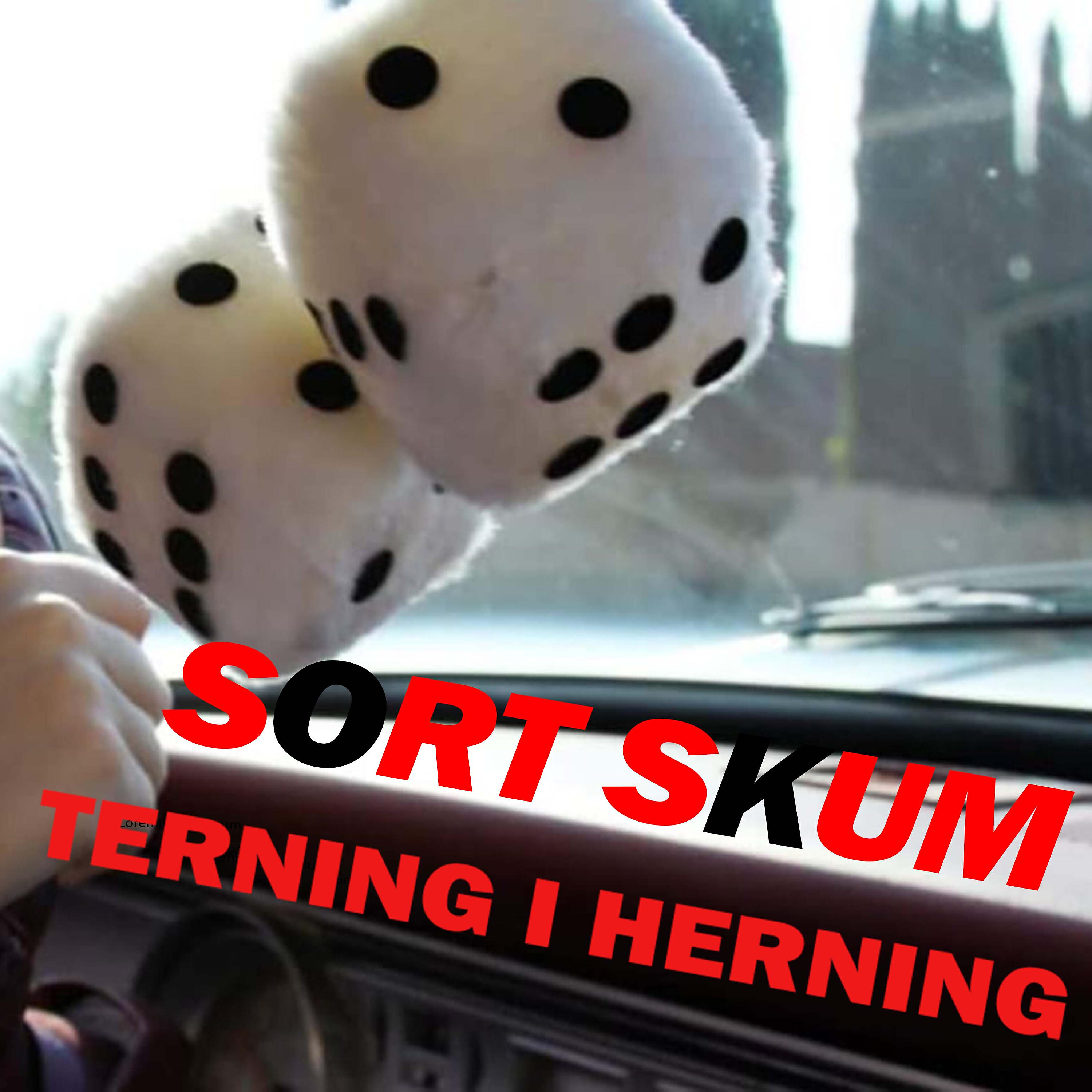 Релиз Terning i Herning