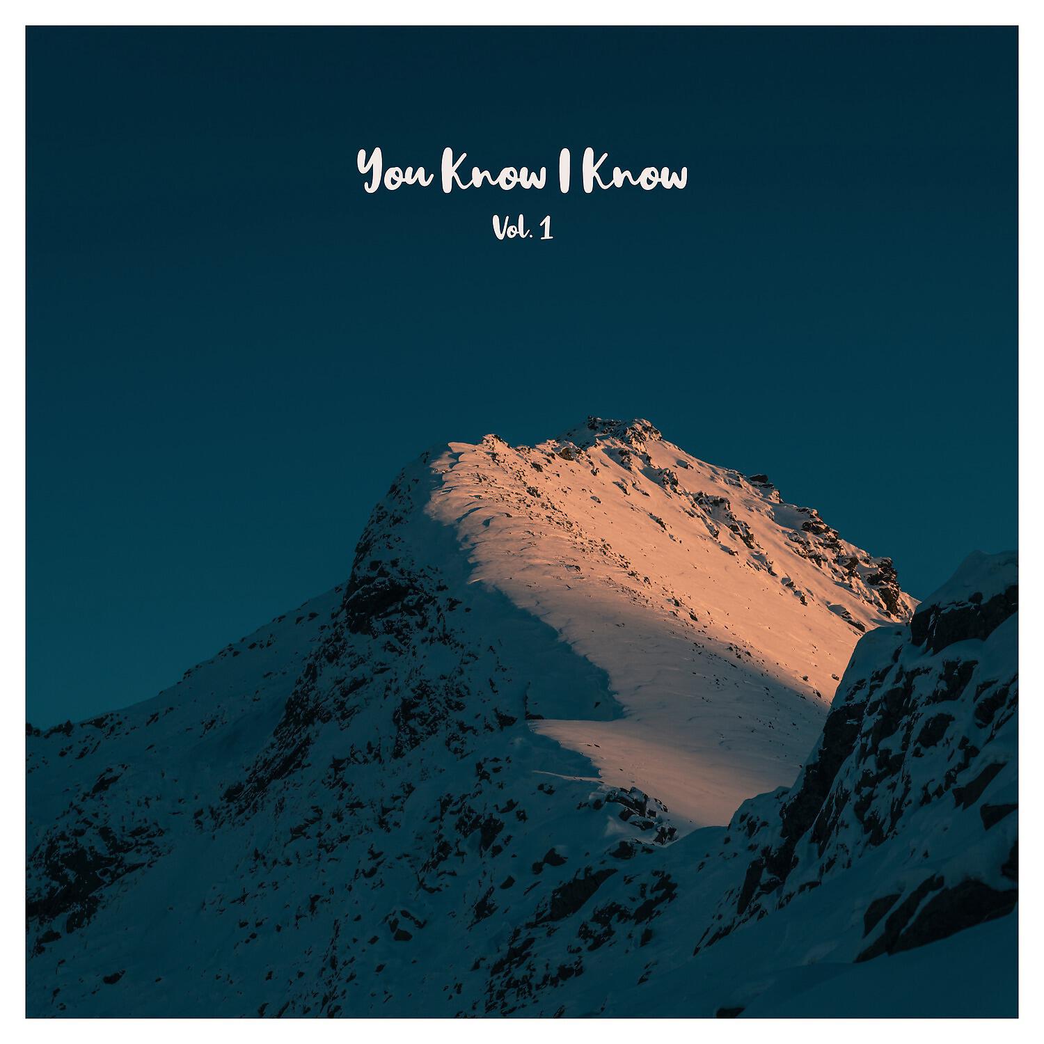Постер альбома You Know I Know, Vol. 1