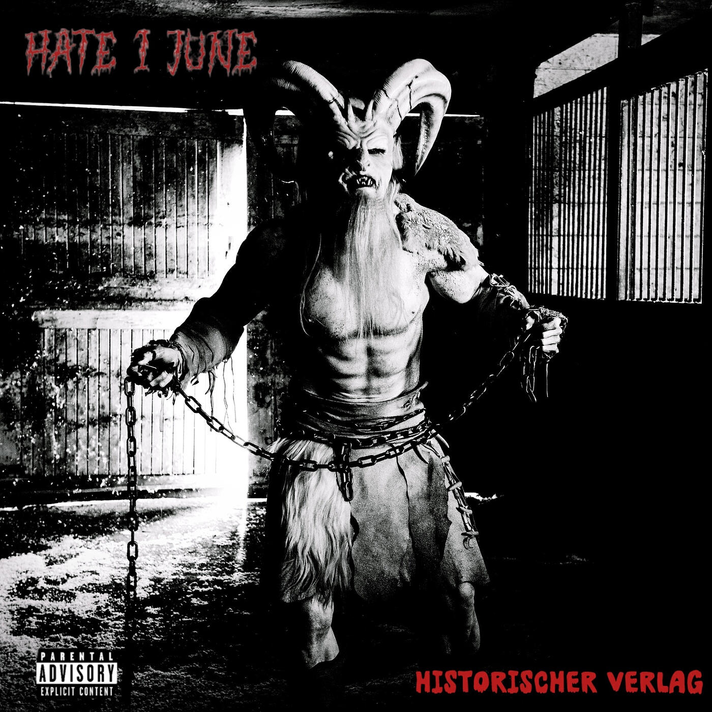 Релиз Historischer Verlag