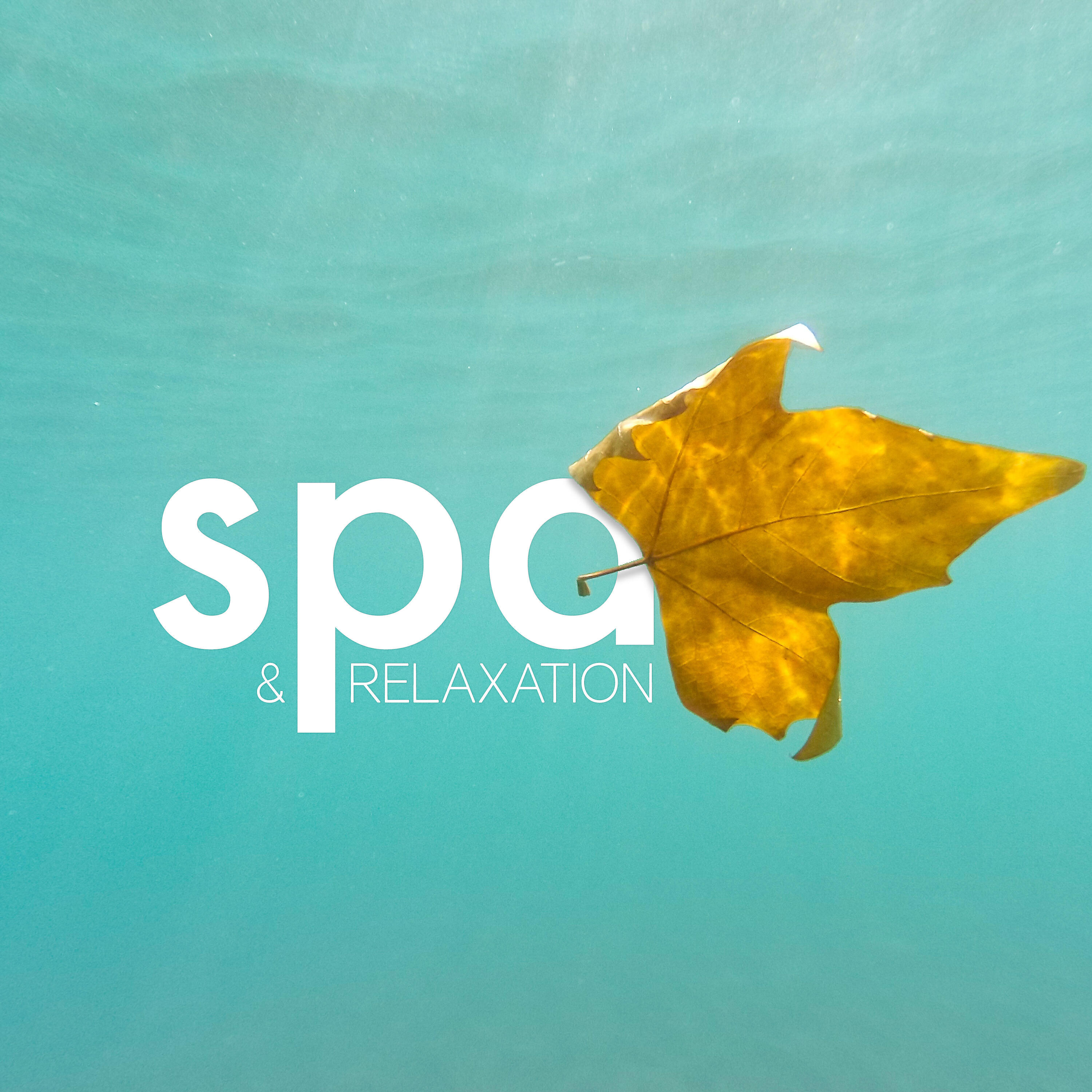 Релиз Spa & Relaxation