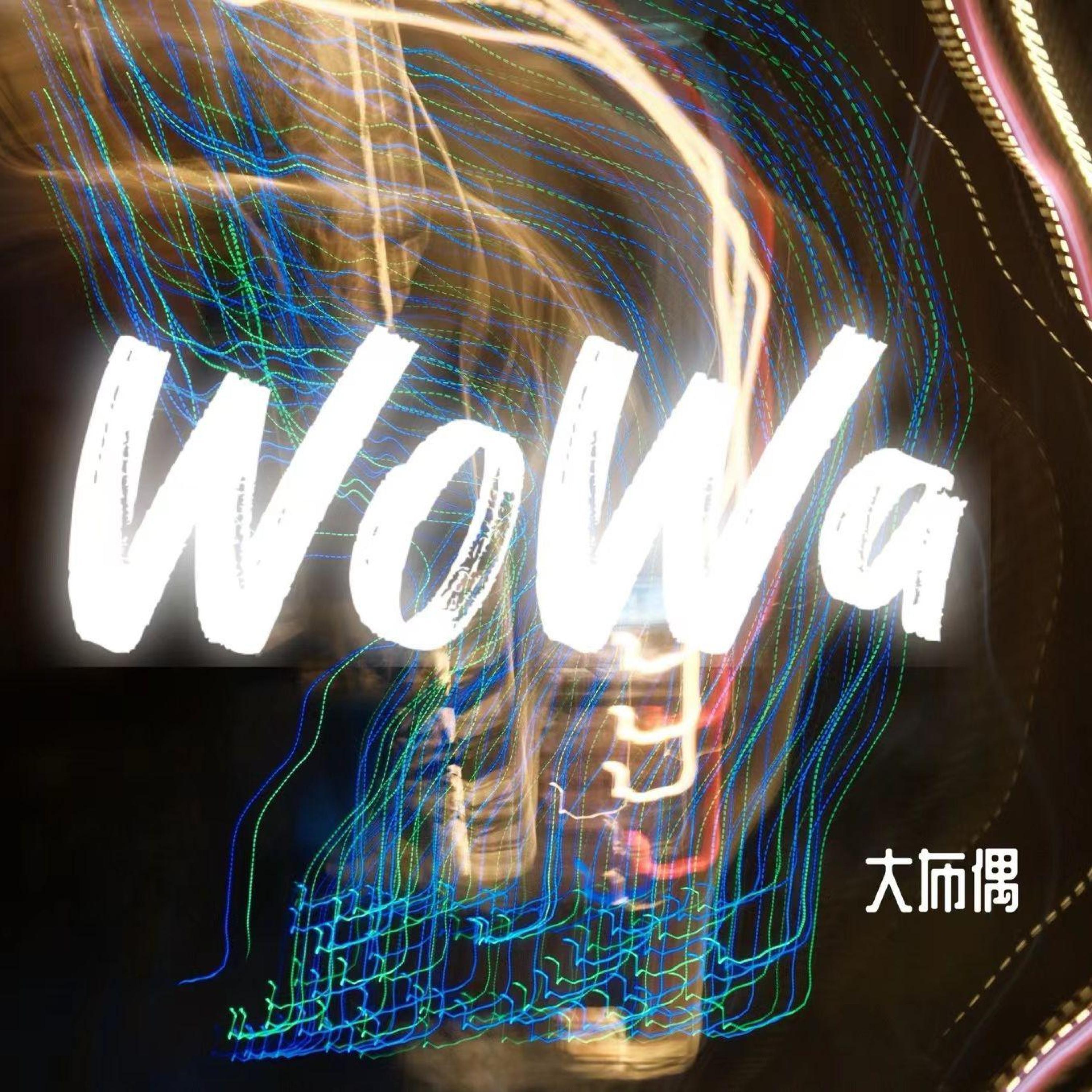 大布偶