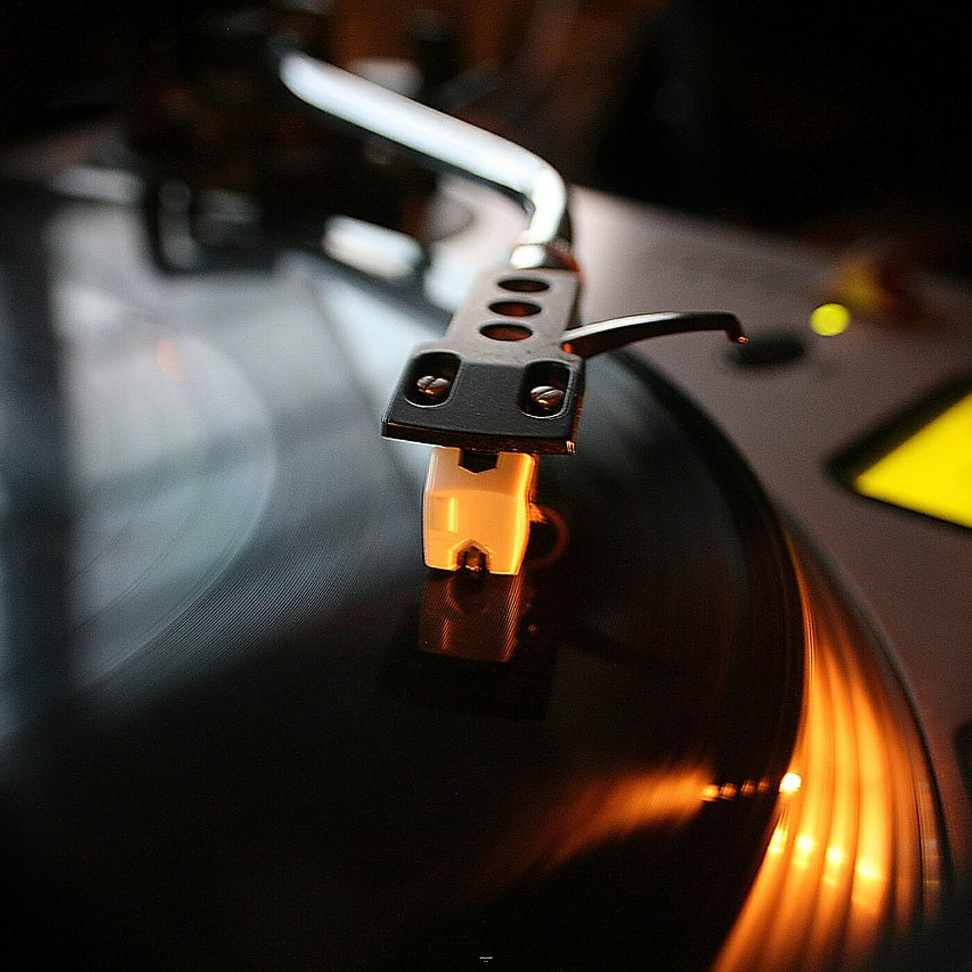 Релиз Vinyl