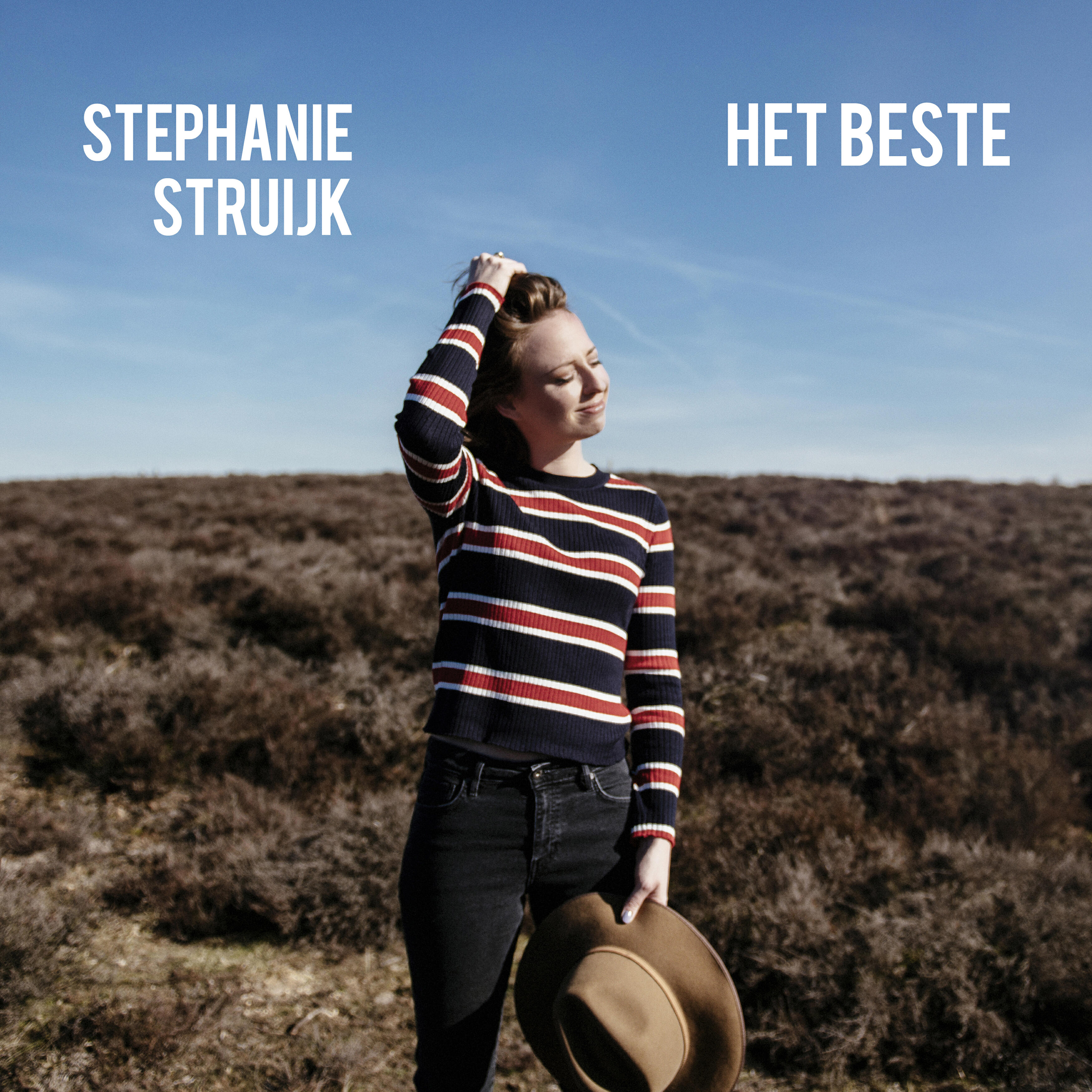 Релиз Het beste