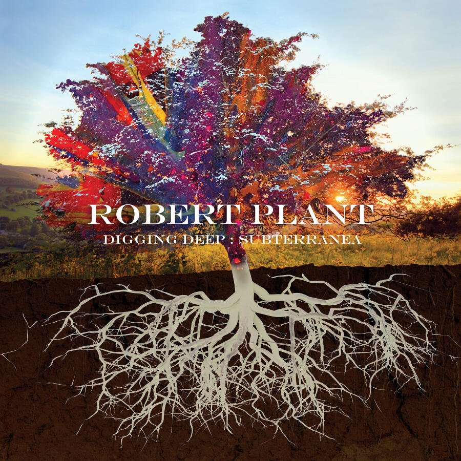 Релиз Digging Deep: Subterranea