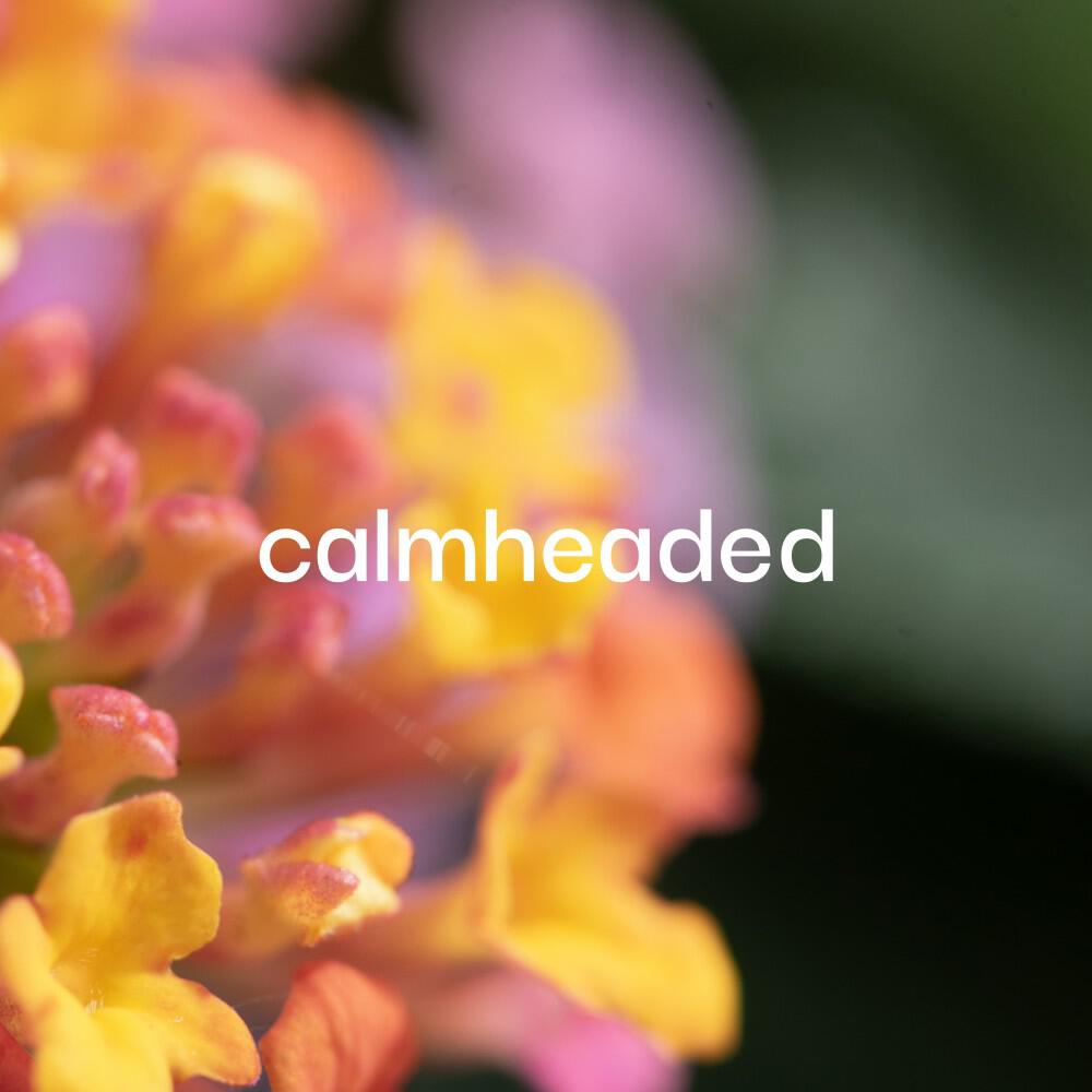 Релиз Samadhi (Theta Flow 7 Hz)