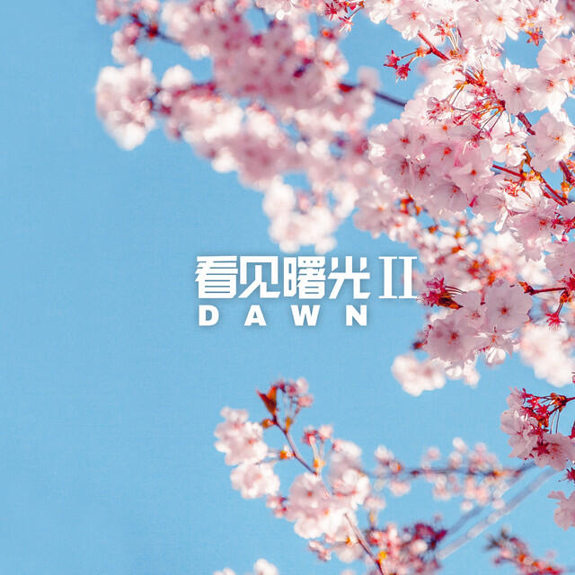 Релиз 看见曙光 Ⅱ