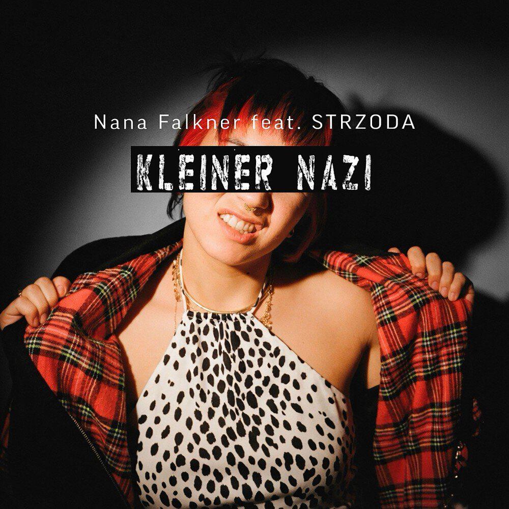 Релиз Kleiner Nazi (Remix)