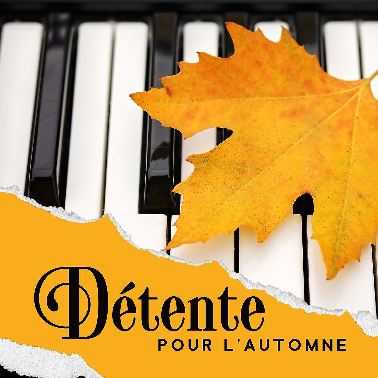 Релиз Détente pour l'automne - Nuit de sommeil avec sons doux et tranquilles de piano
