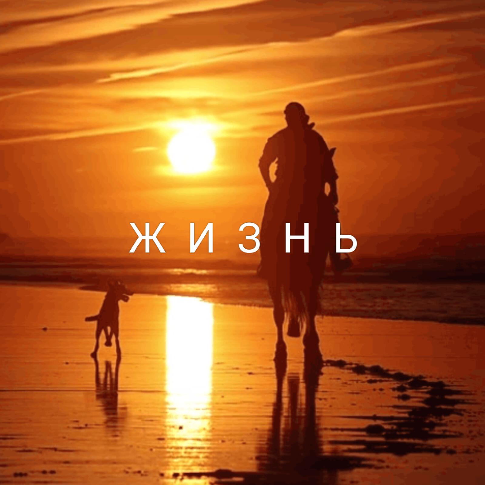 Релиз Жизнь