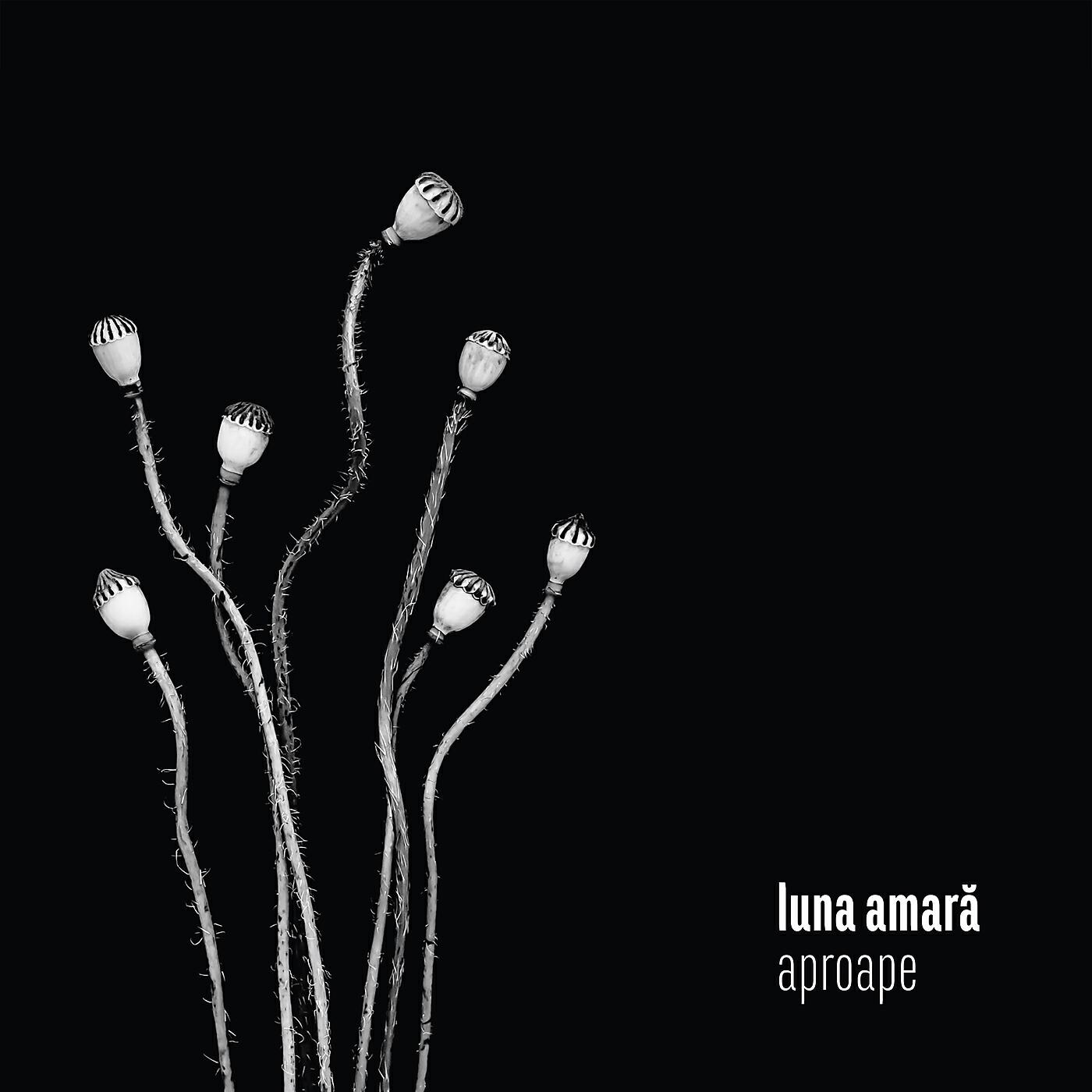 Релиз Aproape