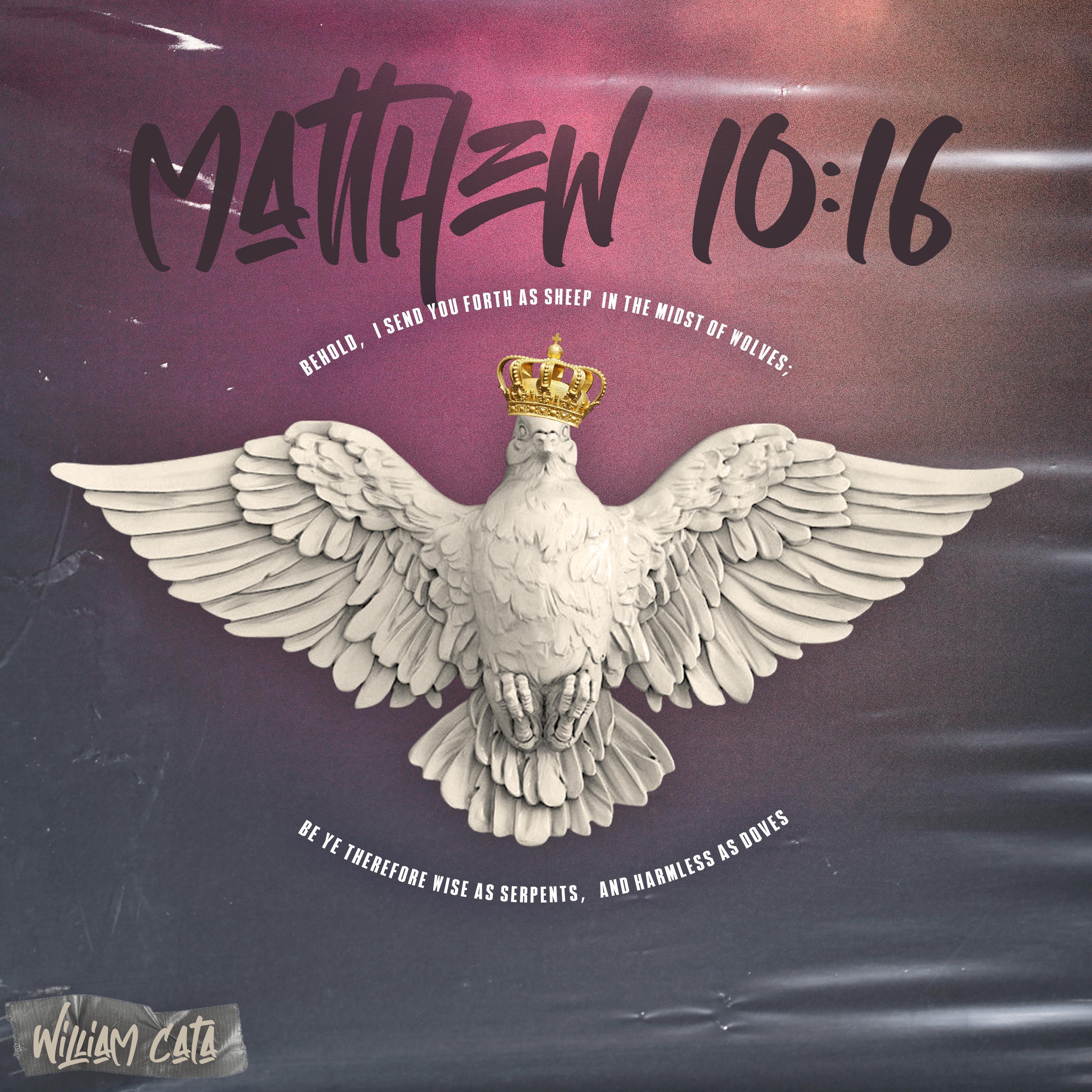 Релиз Matthew 10:16