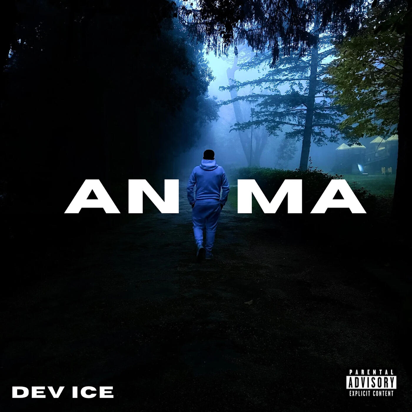 Релиз Anima