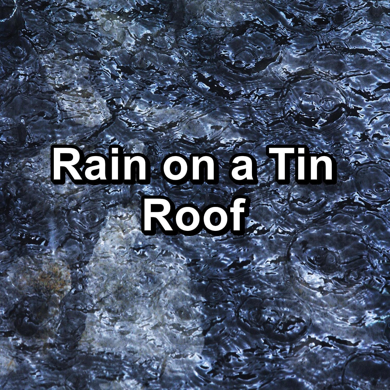 Постер альбома Rain on a Tin Roof