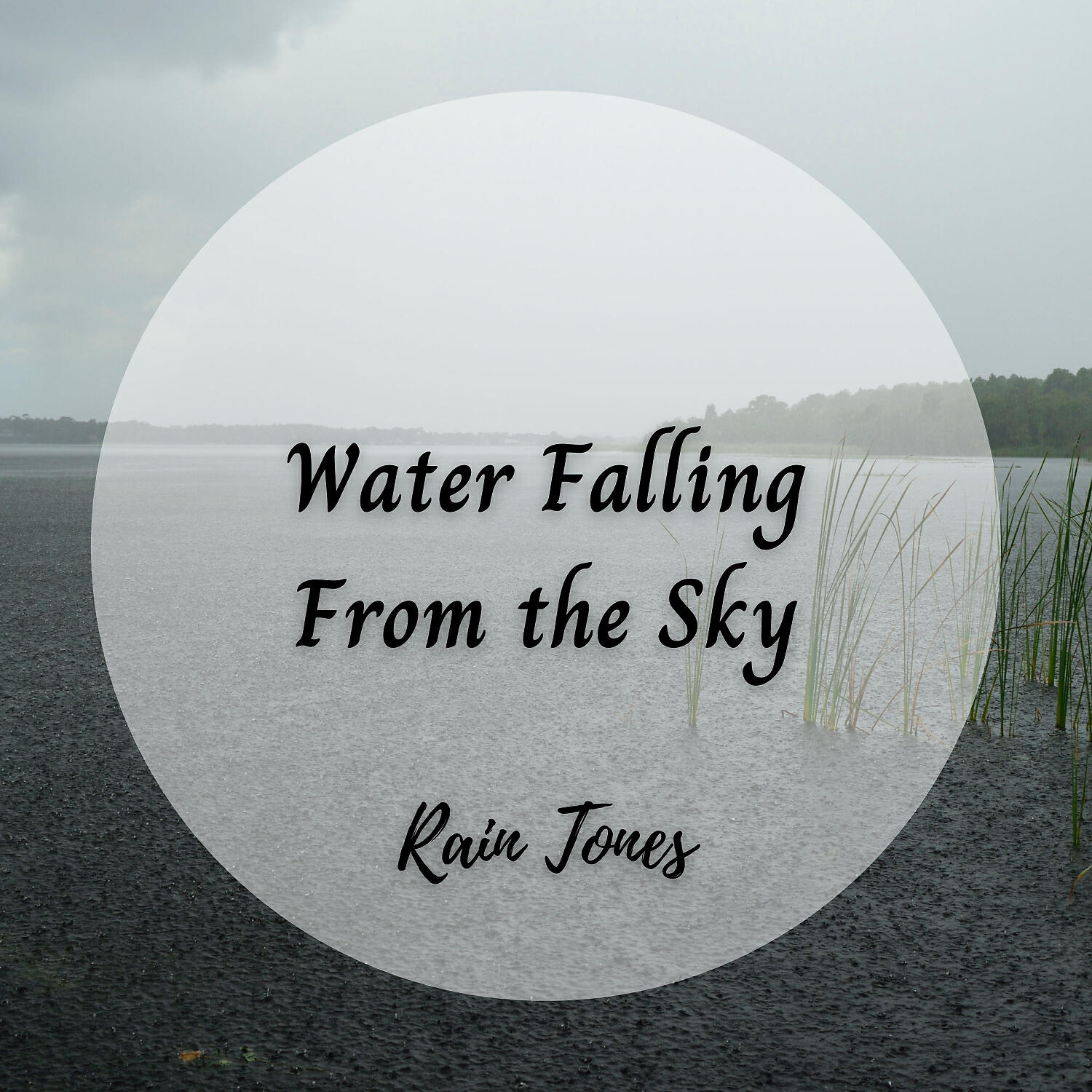 Релиз Rain Tones: Water Falling From the Sky