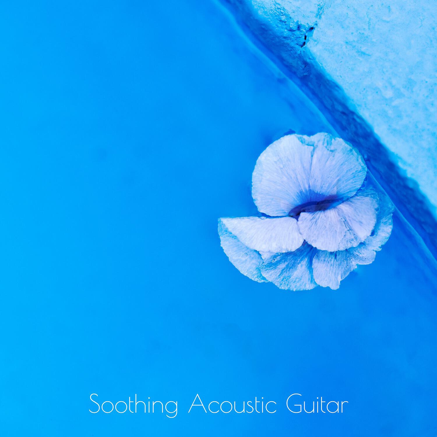 Релиз Soothing Acoustic Guitar