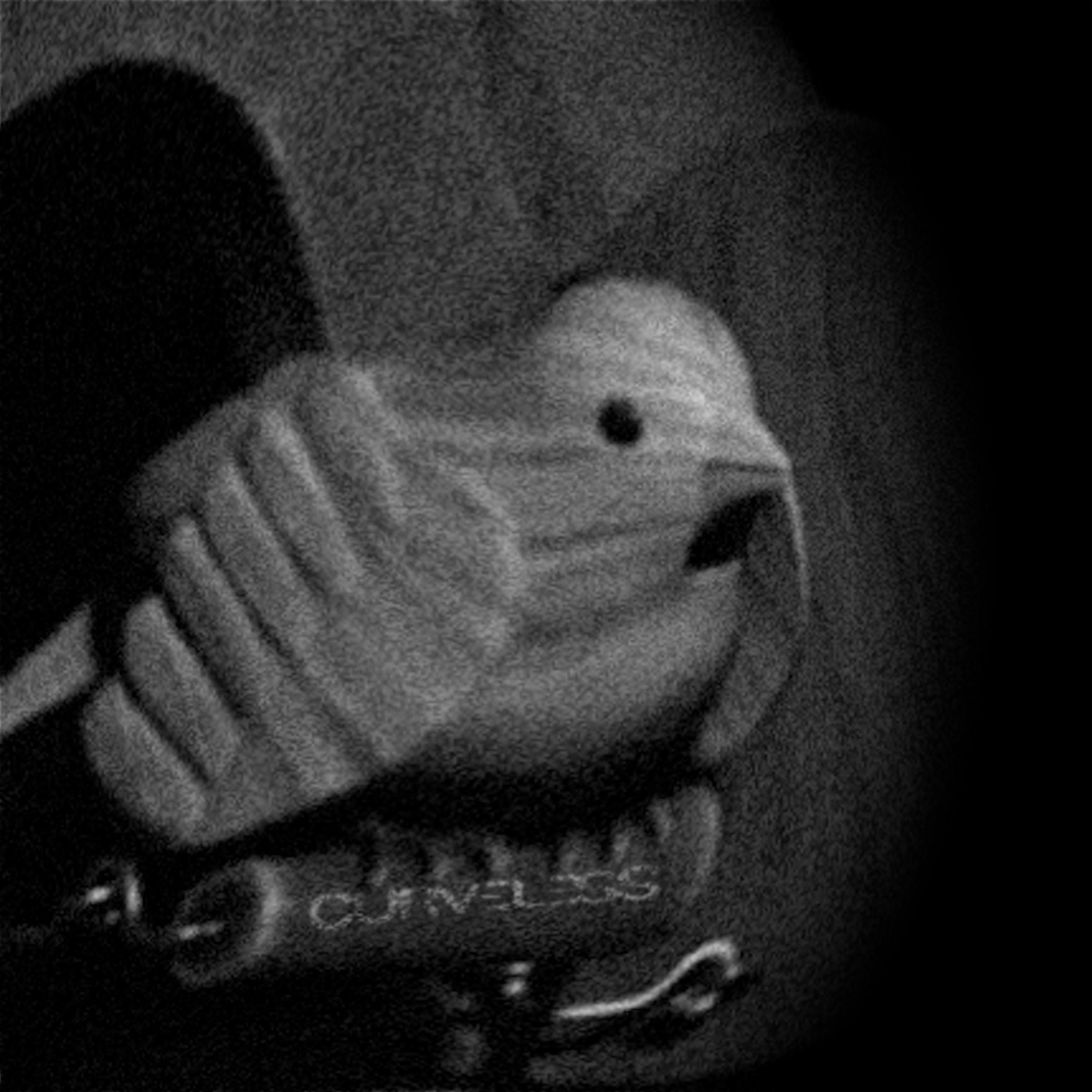 Релиз time:bomb
