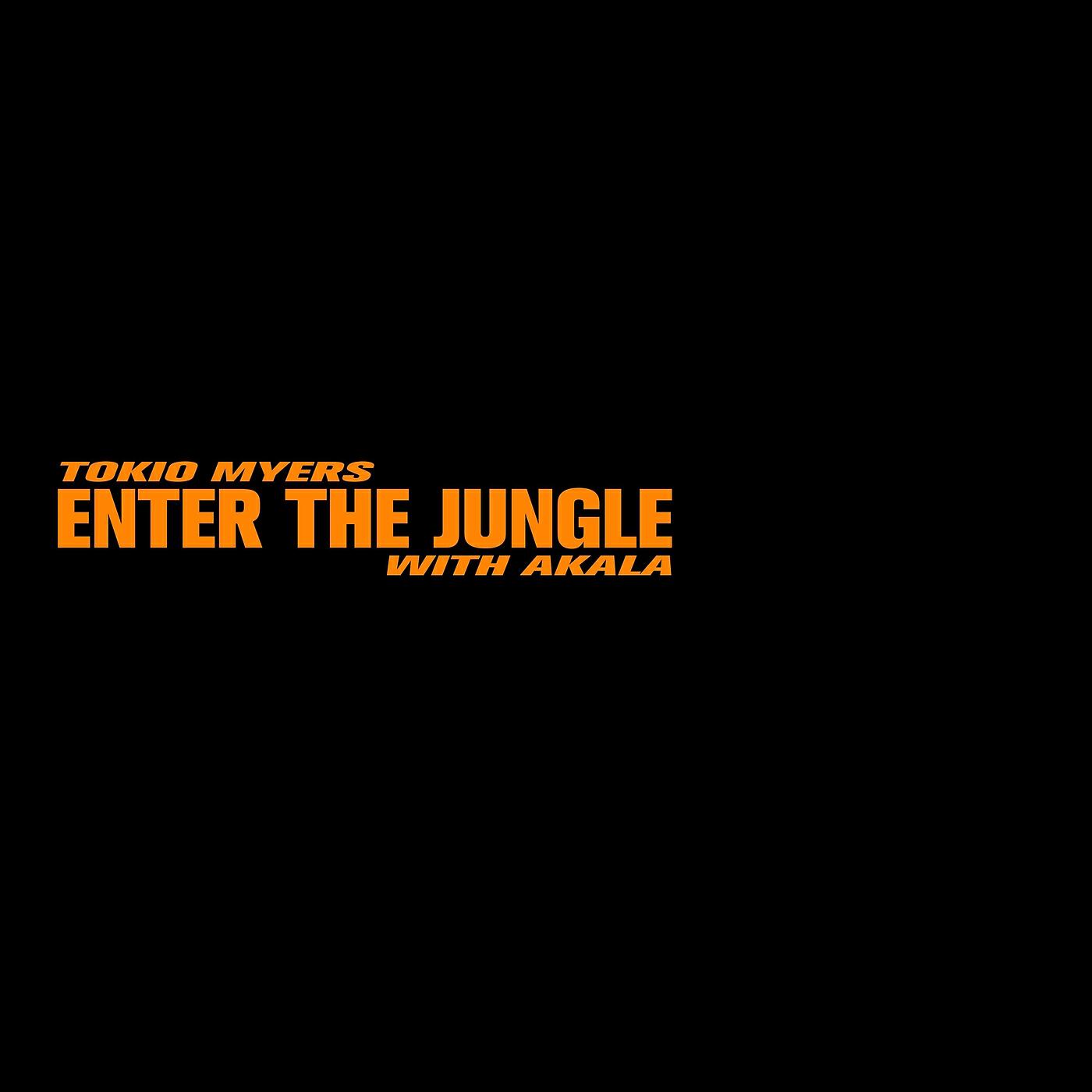 Скачать песню Tokio Myers, Akala - Enter the Jungle бесплатно в MP3 для Android и iOS