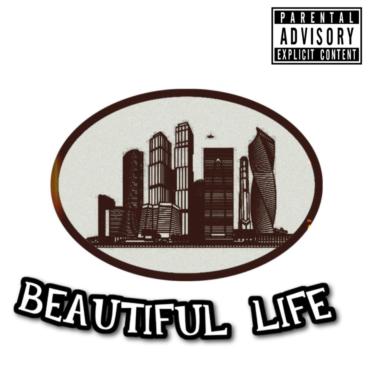 Постер альбома Beautiful life