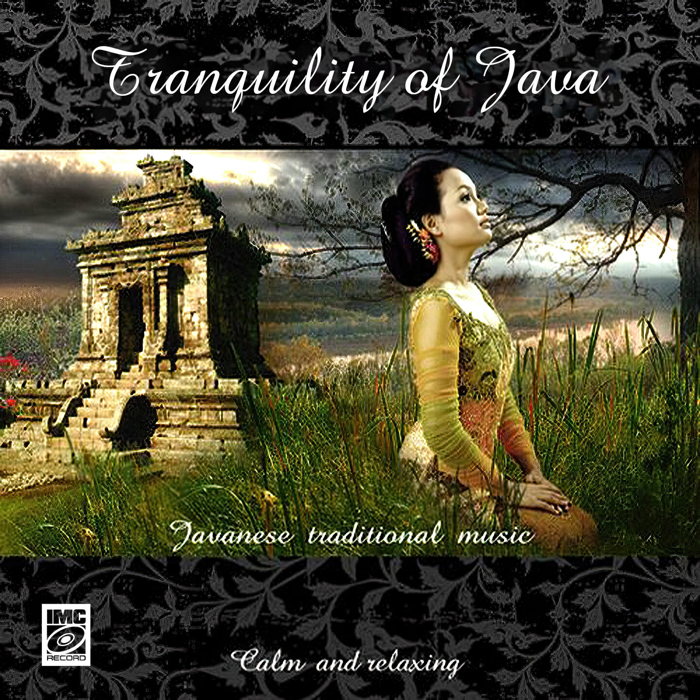 Релиз Tranquility of Java