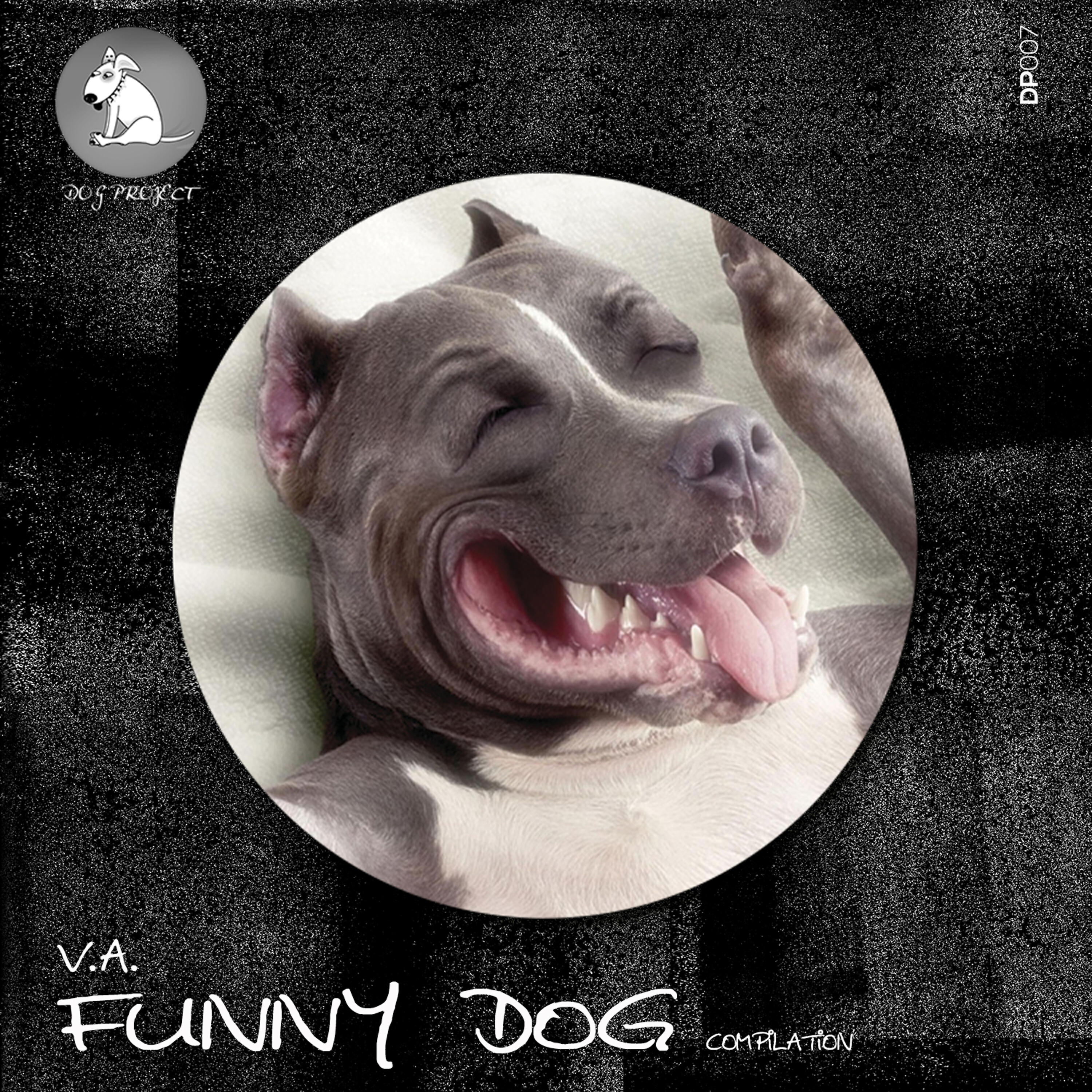 Релиз Funny Dog