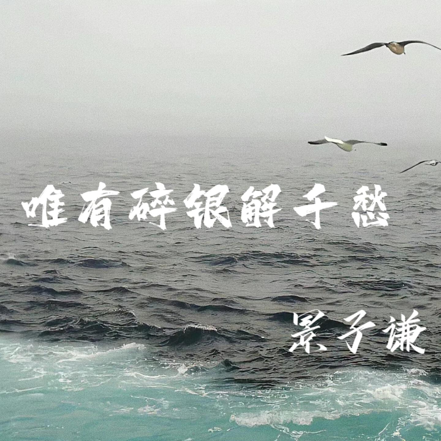 Релиз 唯有碎银解千愁