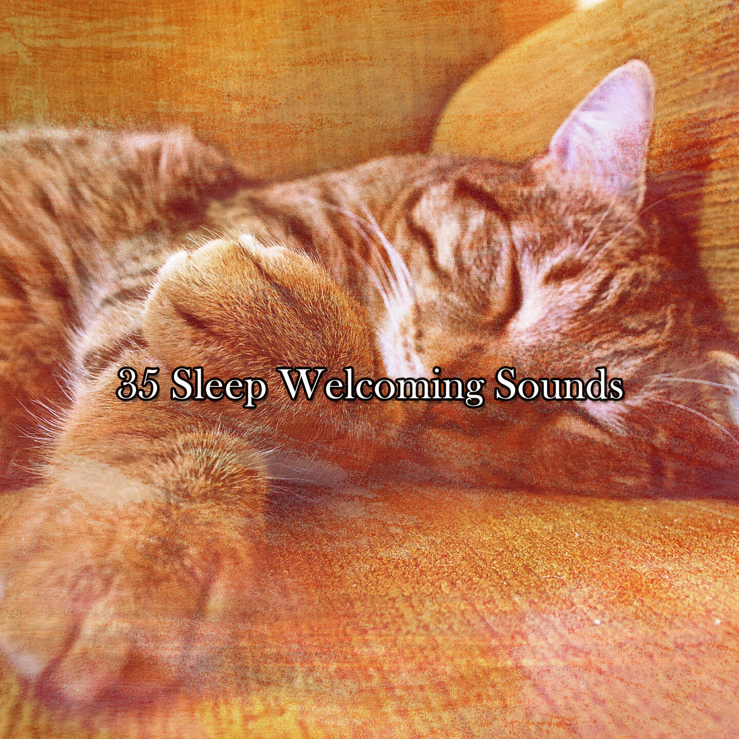 Релиз 35 Sleep Welcoming Sounds