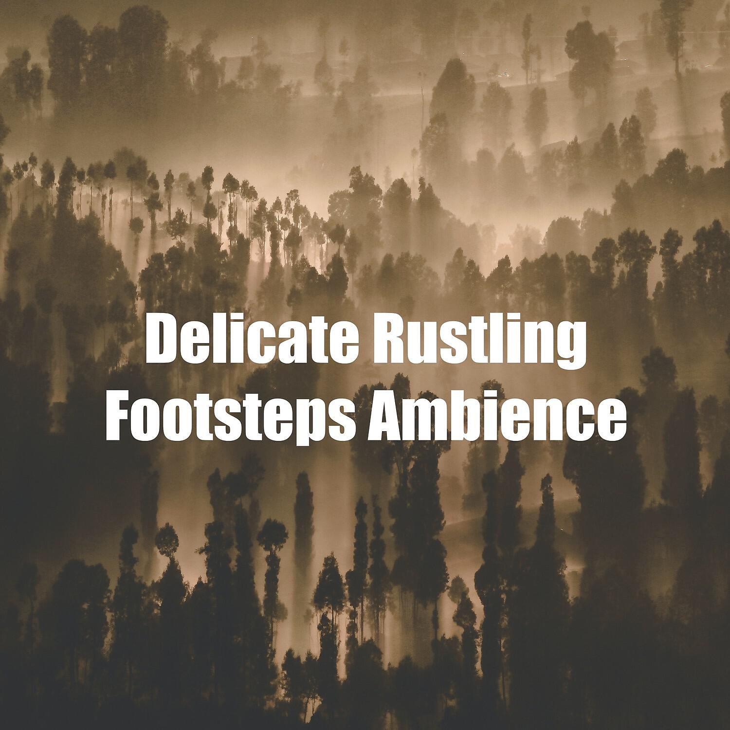 Релиз Delicate Rustling Footsteps Ambience