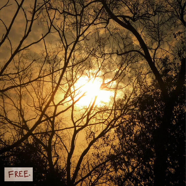 Релиз Free