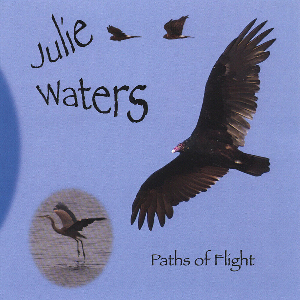 Релиз Paths of Flight