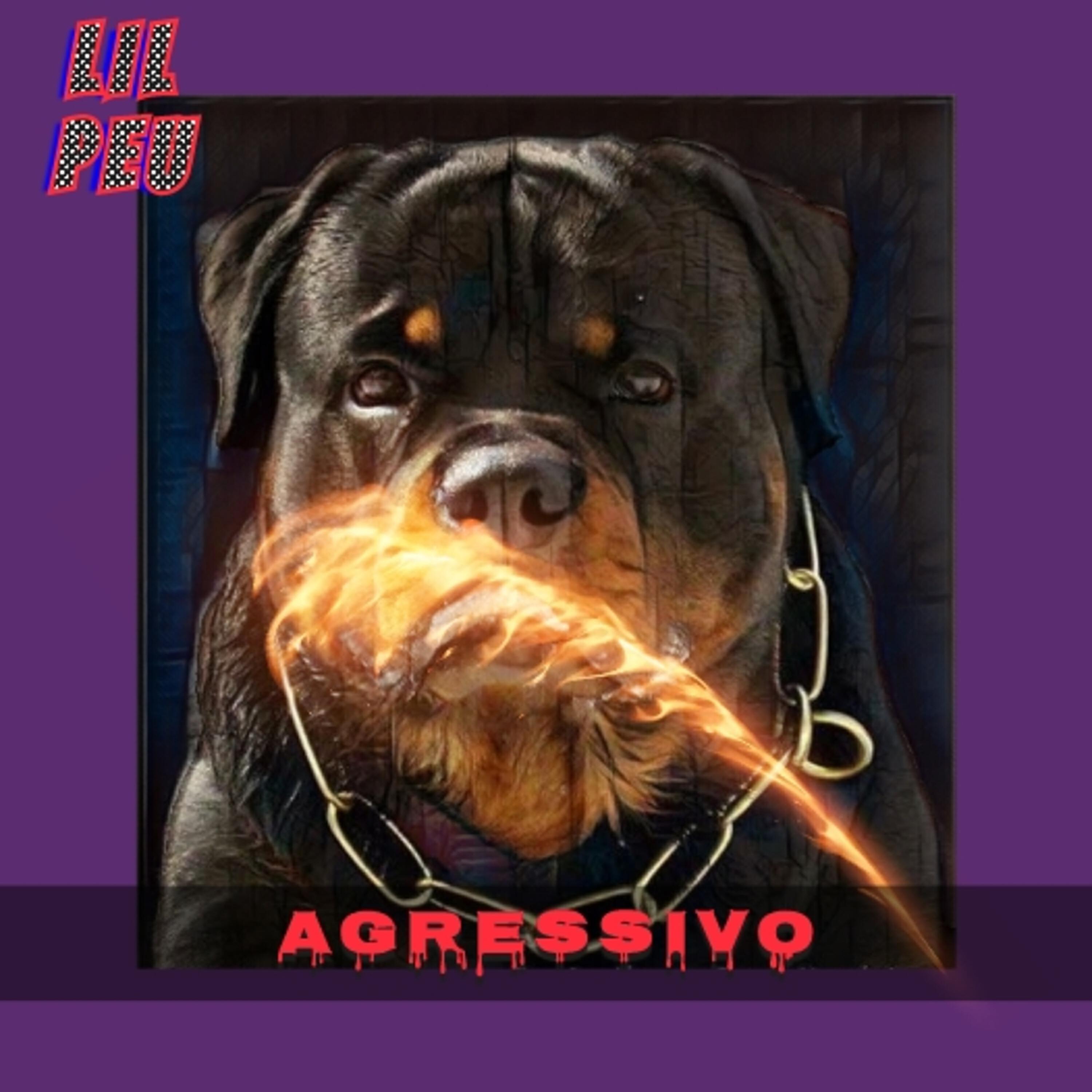 Релиз Agressivo