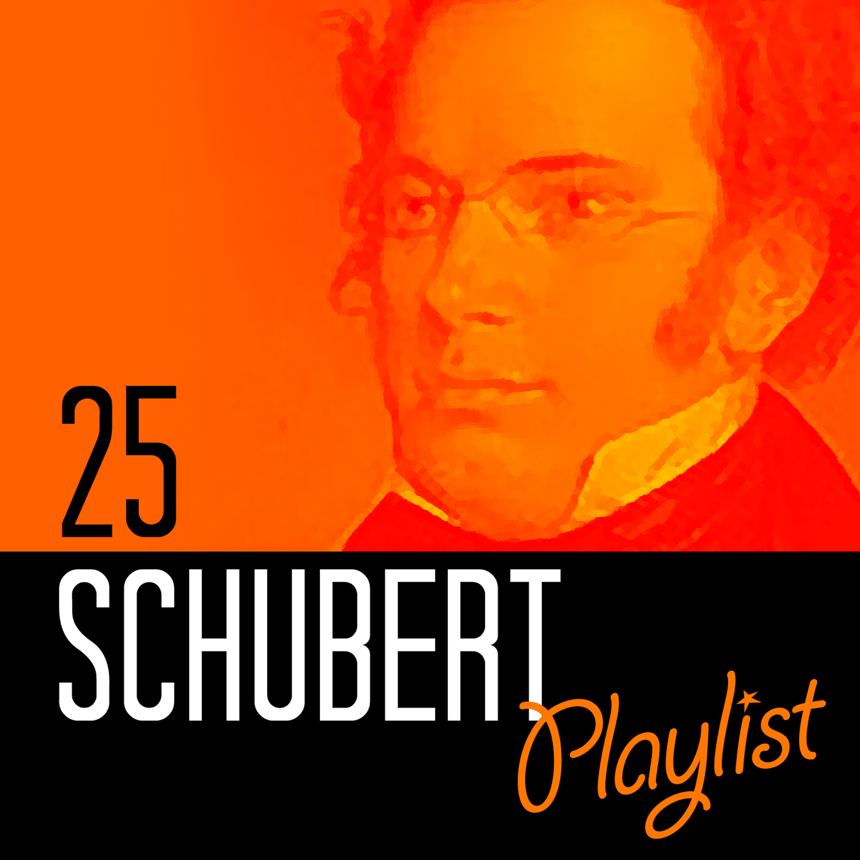 Релиз 25 Schubert Playlist