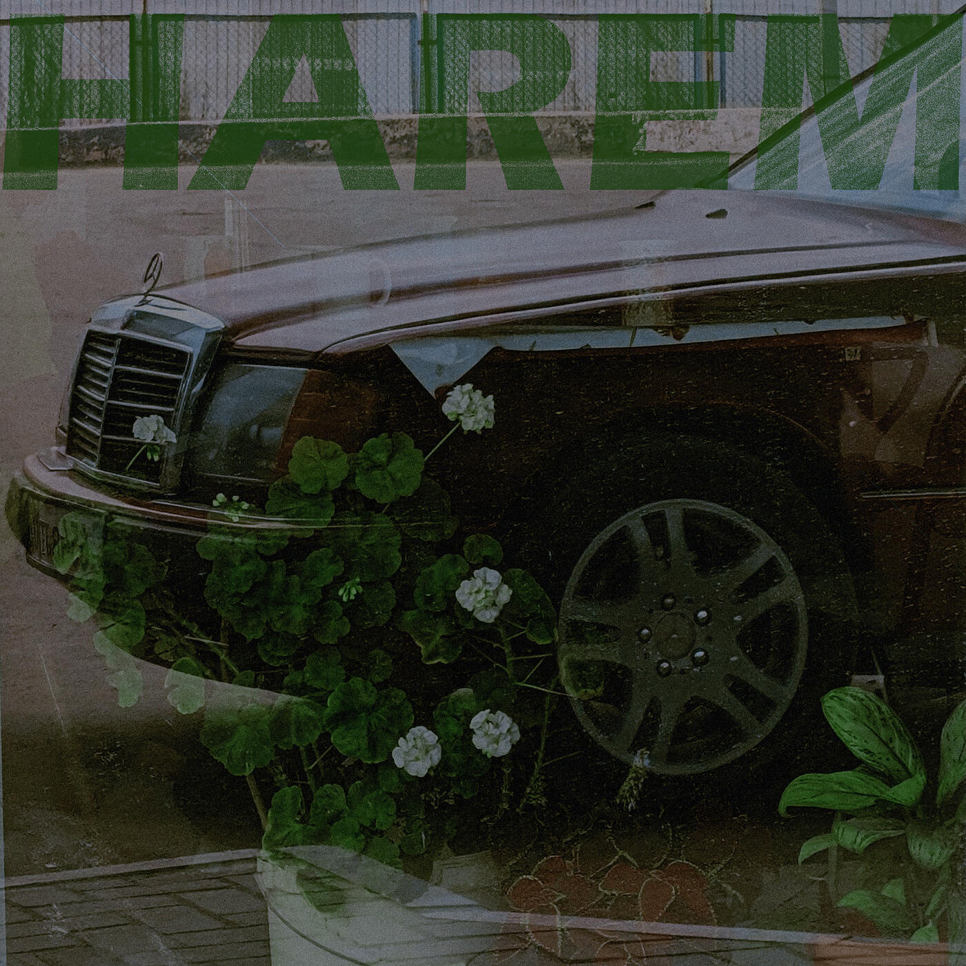 Постер альбома Harem