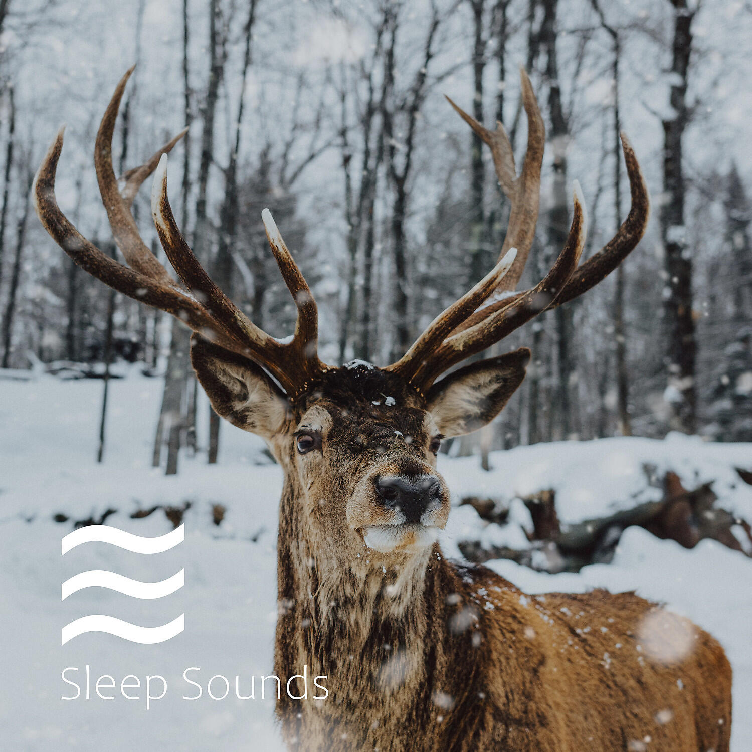 Релиз Soporific Melody of Brown Noise Shushers