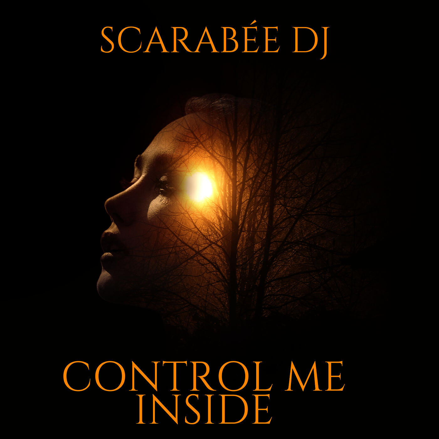 Релиз Control Me Inside