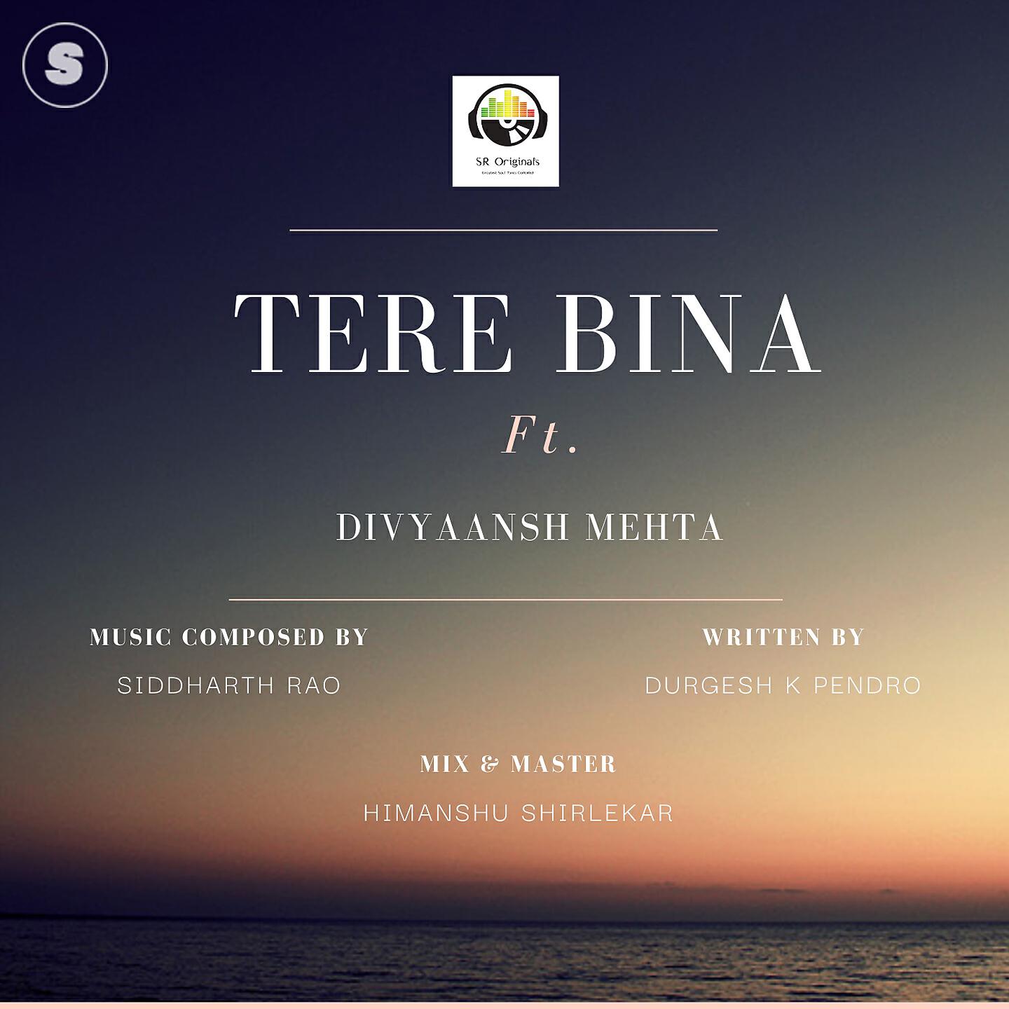Релиз Tere Bina
