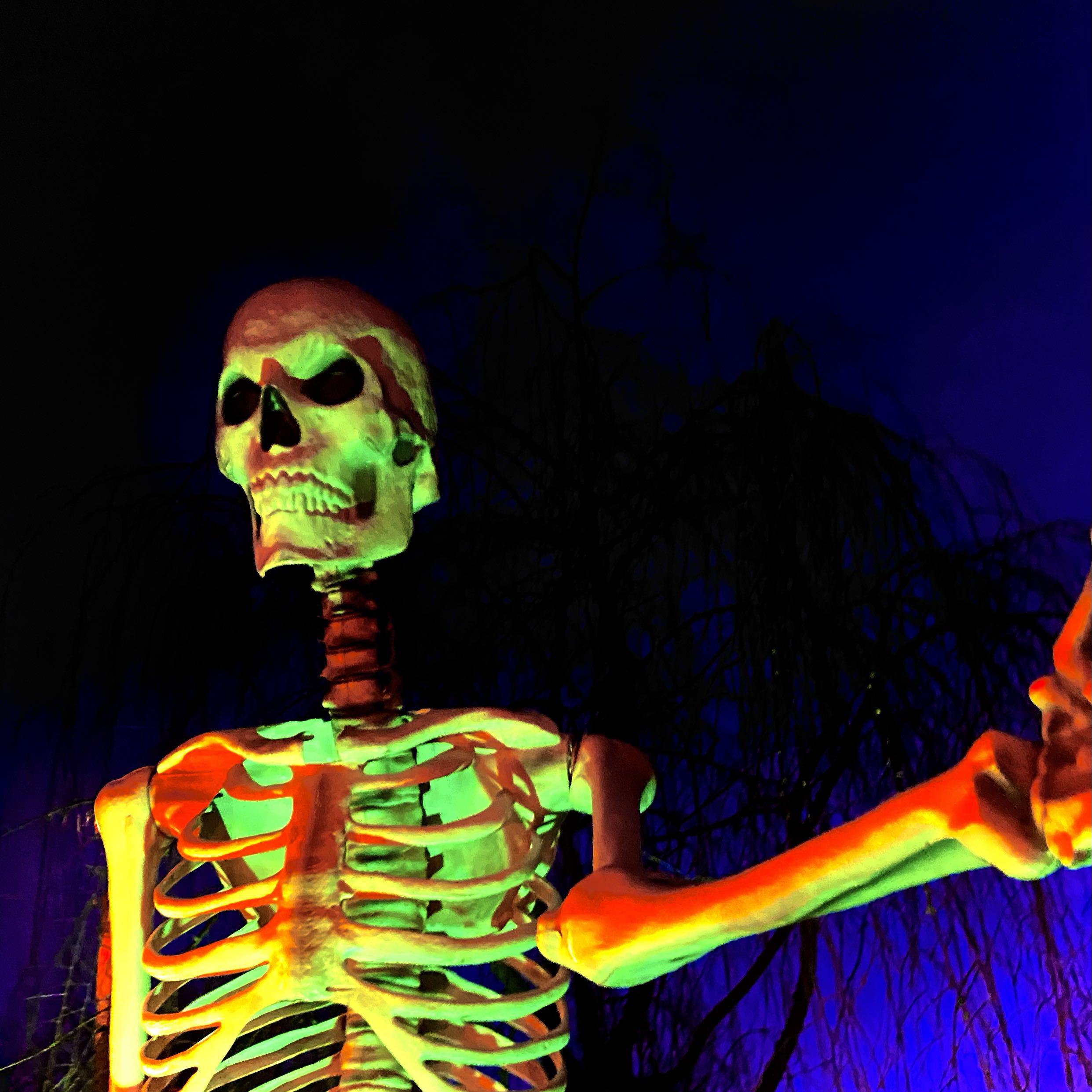 Релиз X-RAY