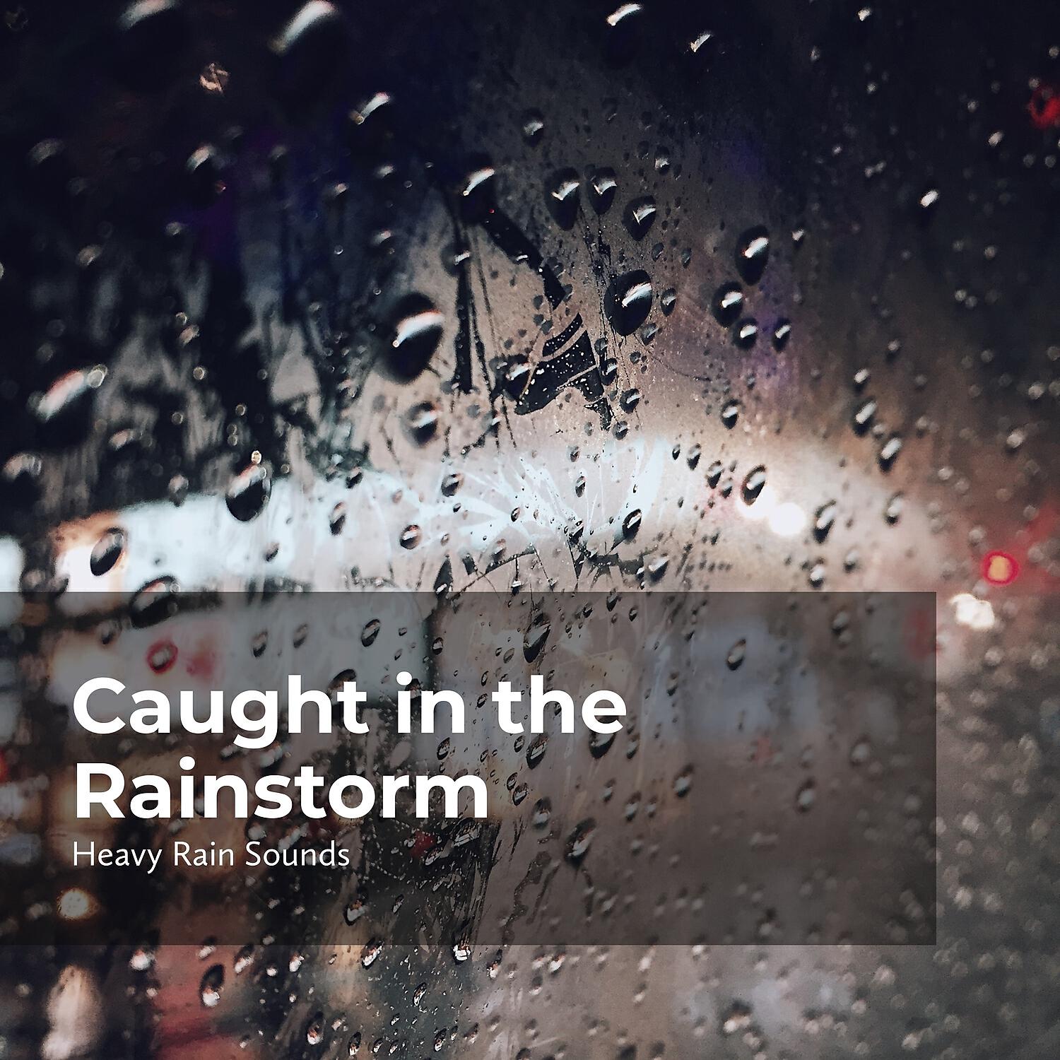 Релиз Caught in the Rainstorm