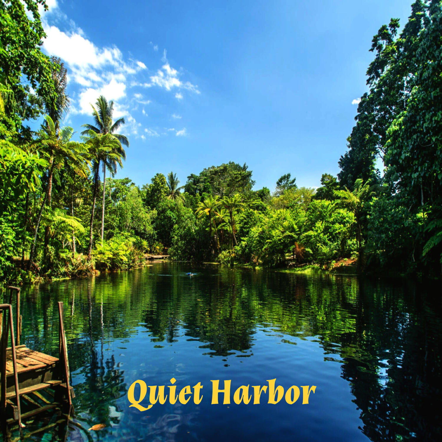 Релиз Quiet Harbor