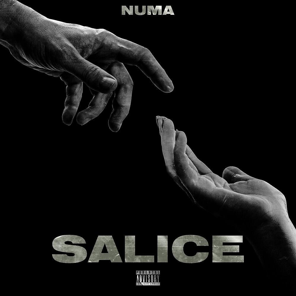 Релиз Salice