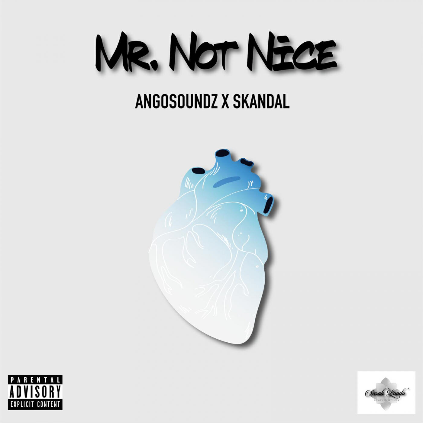 Релиз Mr Not Nice