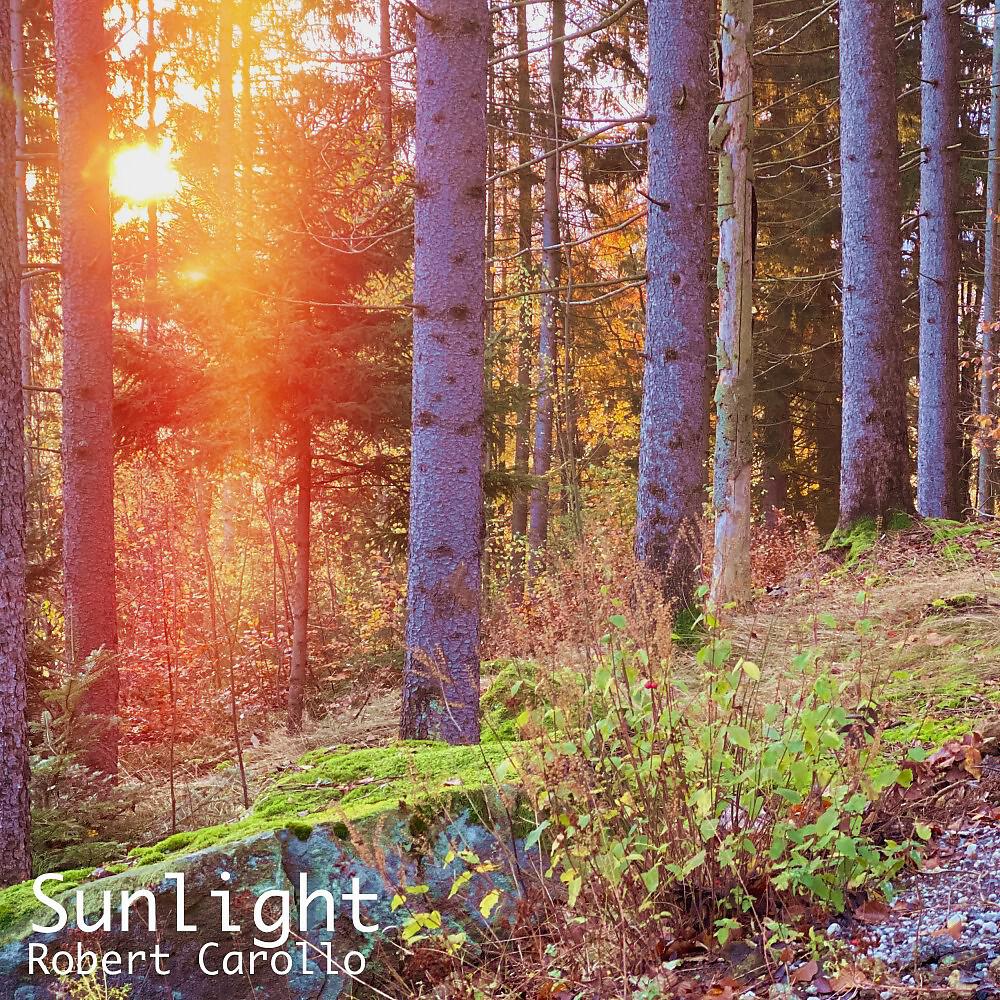 Релиз Sunlight